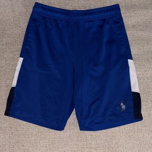 Polo by Ralph Lauren Blue Athletic Shorts